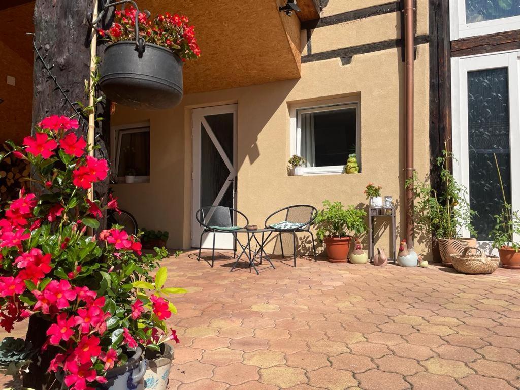 Zewwelatreppler - La Grange Aux Petits Oignons - Chambre Rainette Селеста Экстерьер фото
